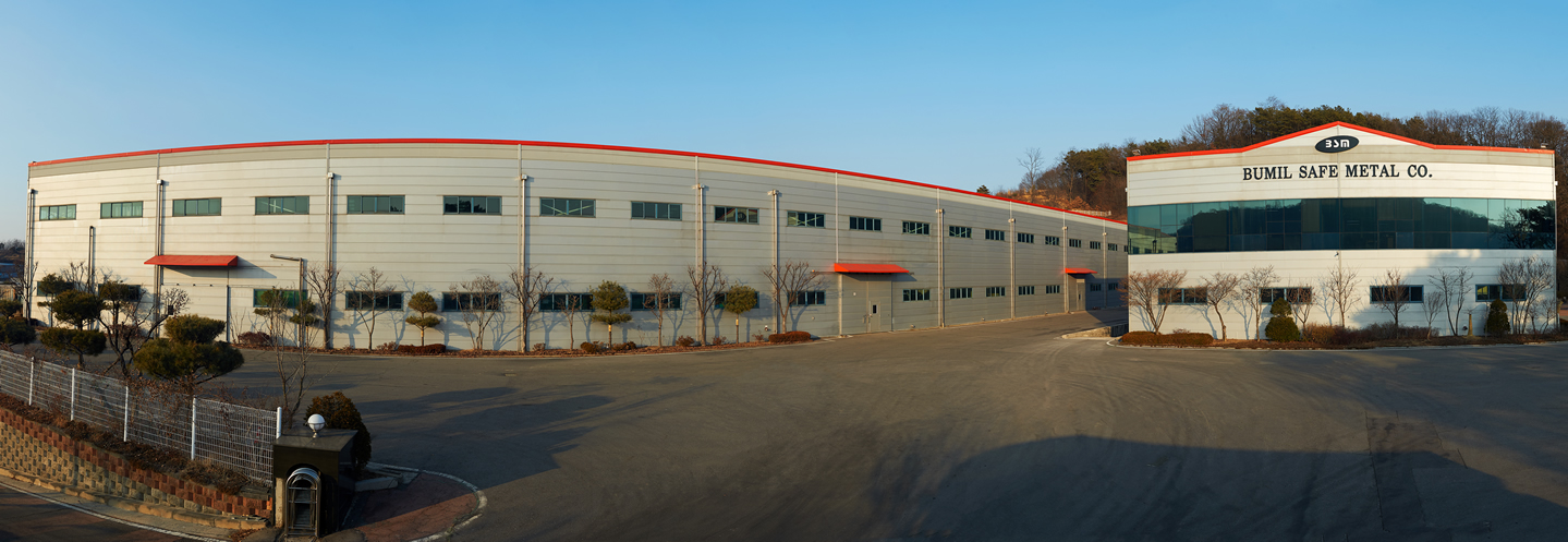 Panorama of BSM